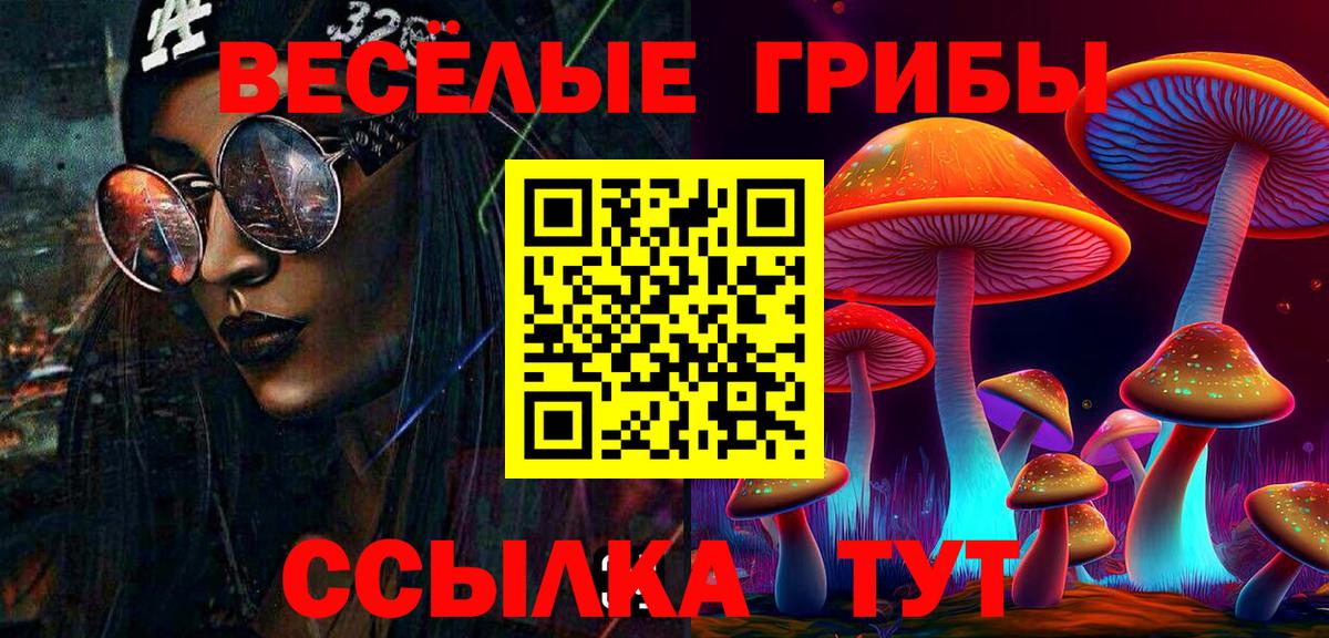 Галлюциногенные грибы ЛСД Северобайкальск