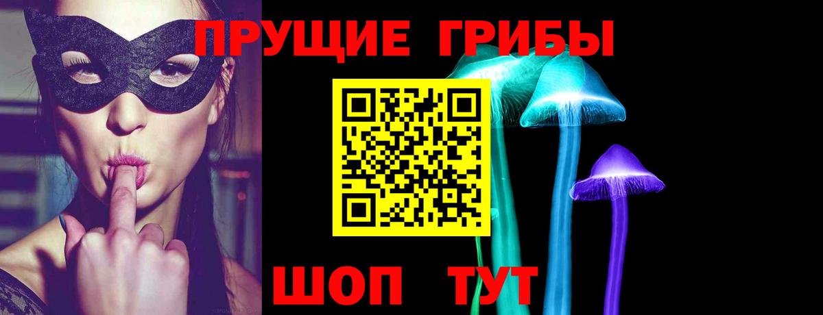 Галлюциногенные грибы мицелий  Галлюциногенные грибы прущие грибы  Вход с VPN  Северобайкальск 